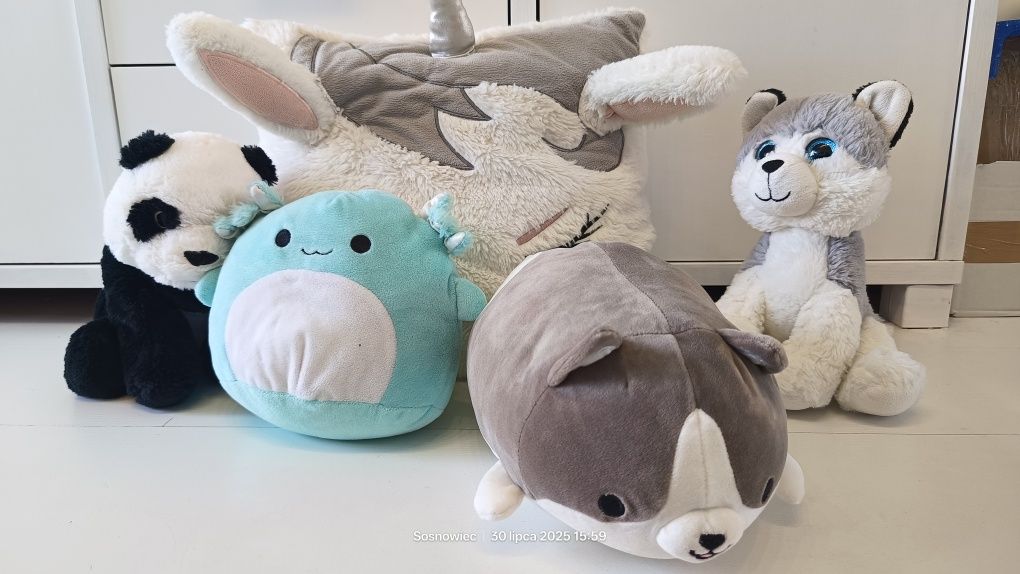 Maskotki squishmallows axolotl corgi poduszka jednorożec panda wilczek