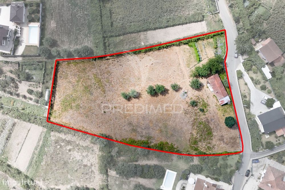 Quintinha com Casa em Xisto para Recuperar – Anais