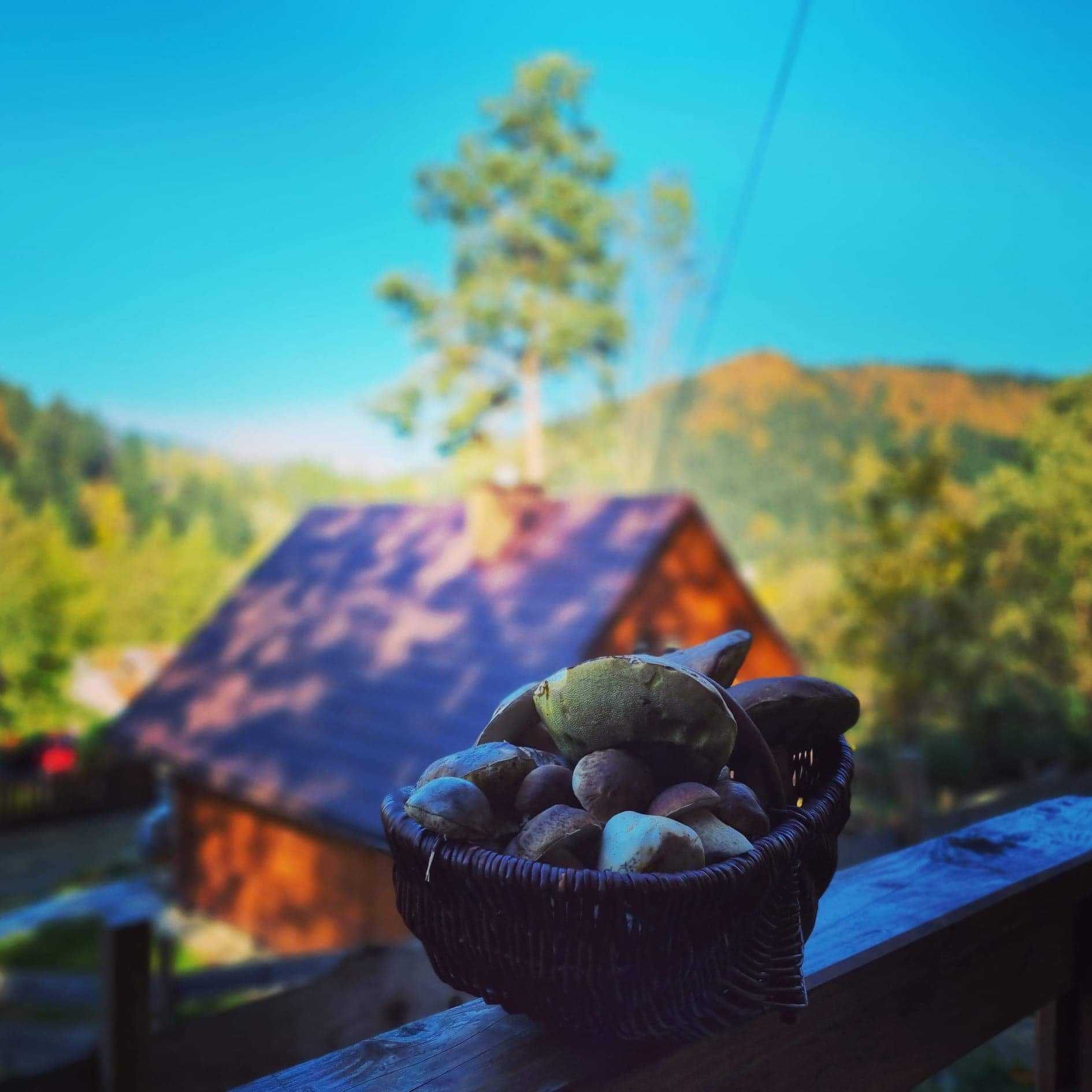 Domek do wynajęcia, Bieszczady, Bystre, GÓRY, Baligród, Solina,Majówka