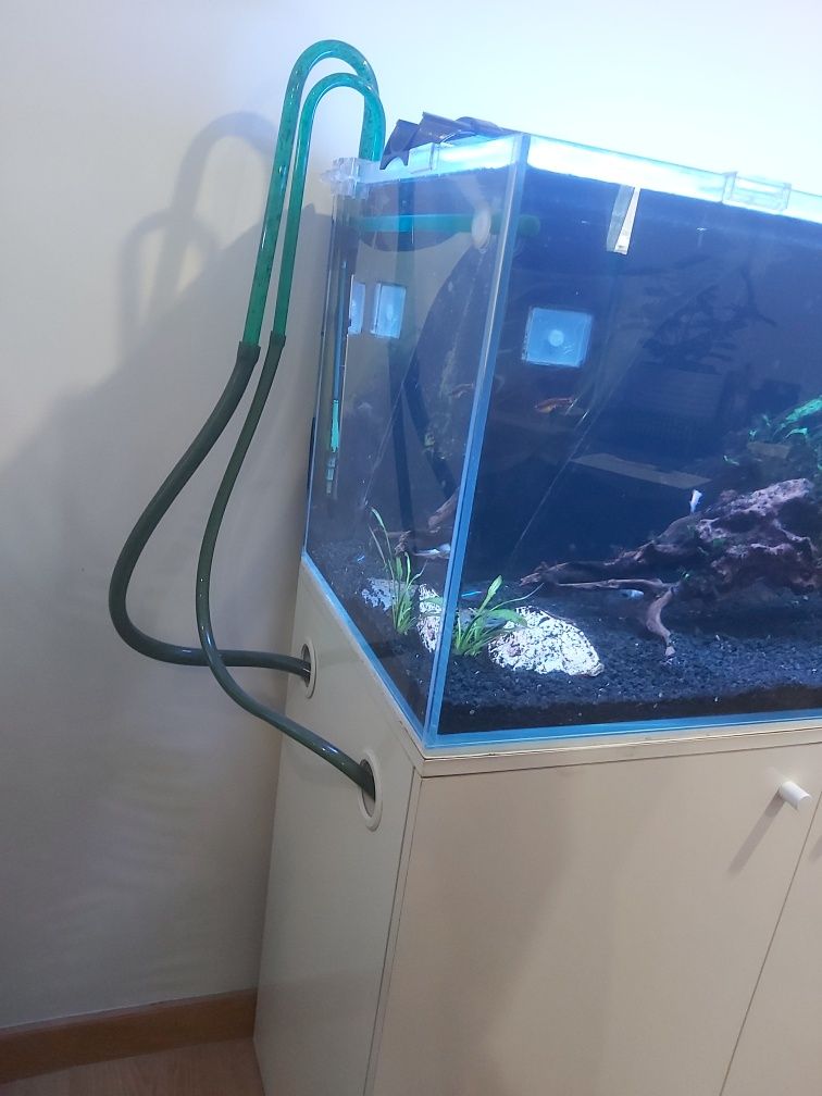 Aquário/terrário extra claro completo