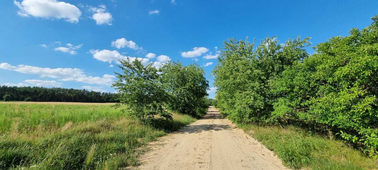 pokoje apartamenty z klimatyzacją noclegi Wieleń