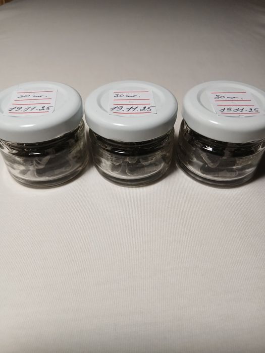 ПЖВМ/восковая моль