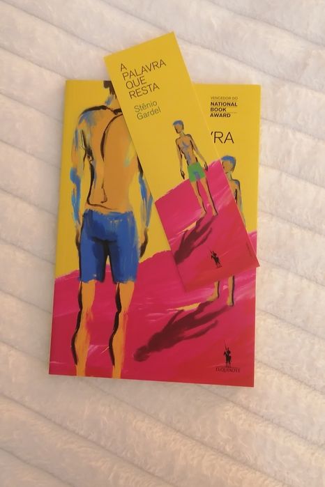 LIVRO Stenio Gardel - A Palavra que Resta