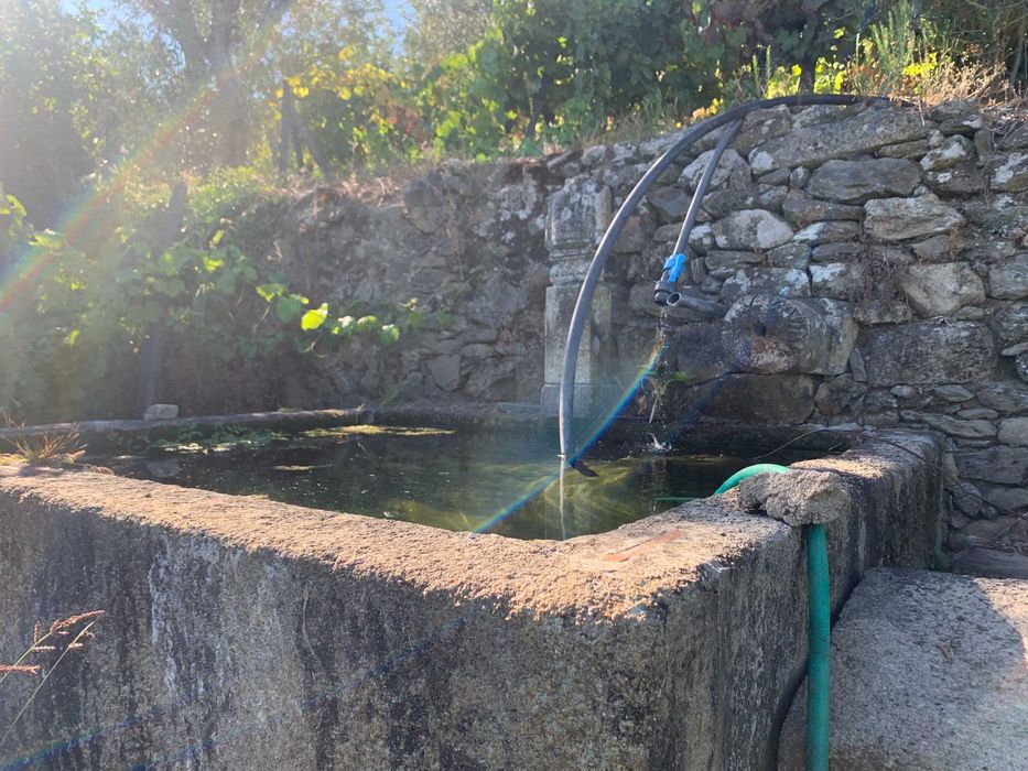 Quinta no Douro  - Ferreiros de Avões