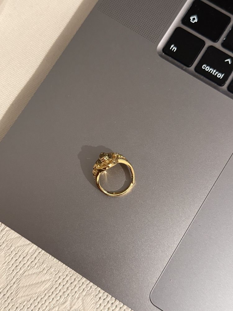 Anel dourado de homem novo