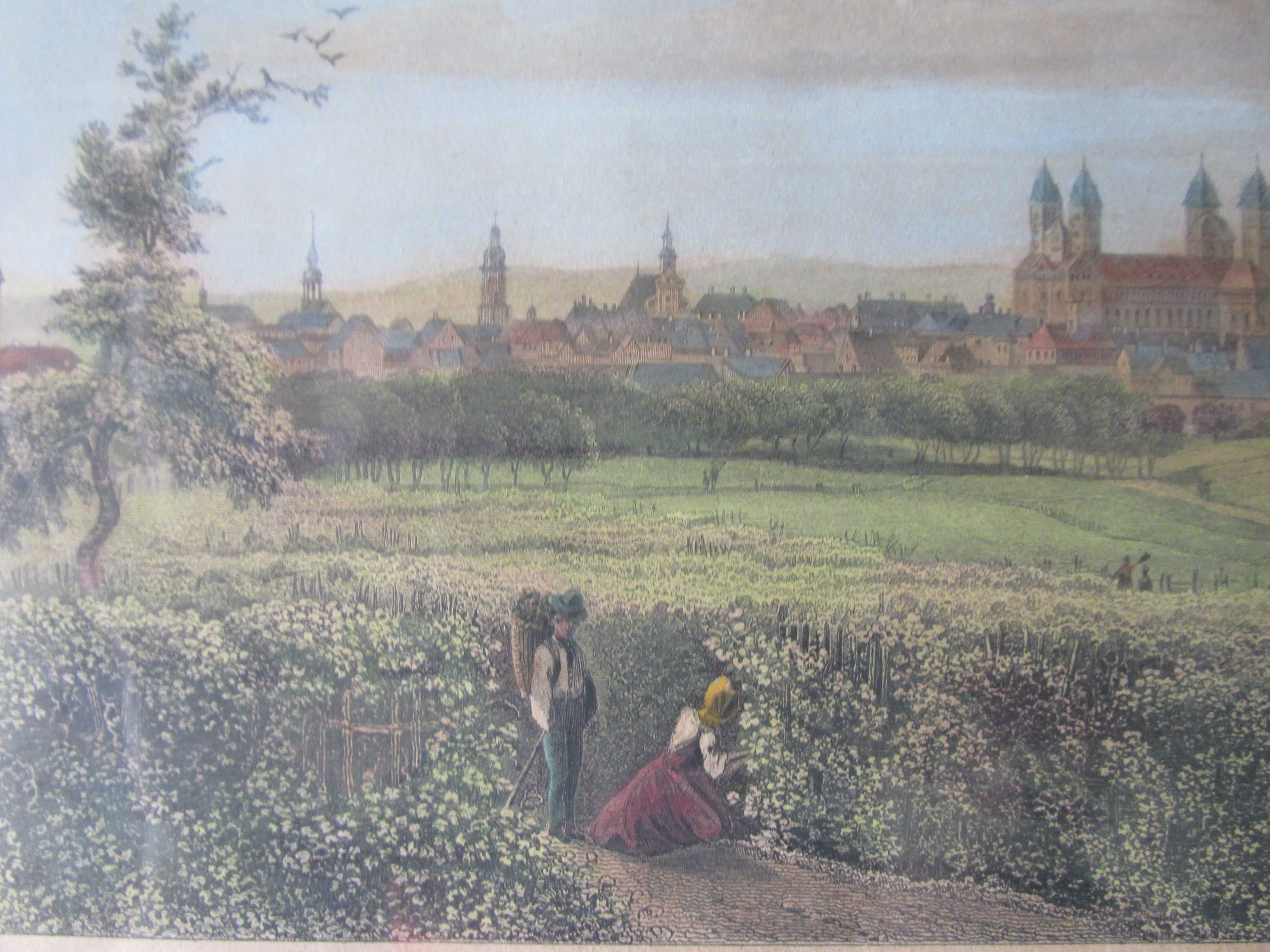 Stara kolorowa grafika Pejzaż miasta -Speyer-  1886  niemcy