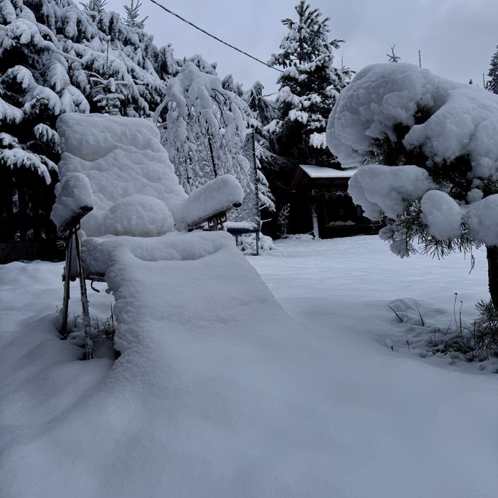 Затишний дерев'яний будиночок у тиші лісу на 6 гостей