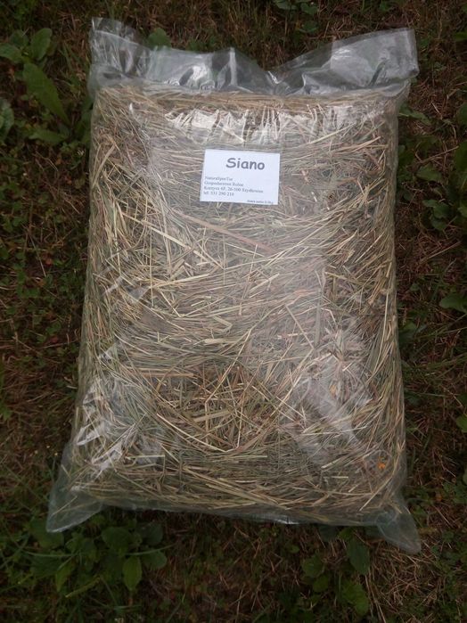 Siano dla gryzoni