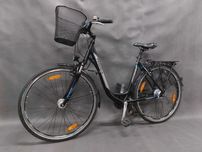 Rower Pegasus Piazza_Damka_28"_Shimano_Nexus