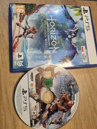 Gra na ps5 Horizon forbidden West