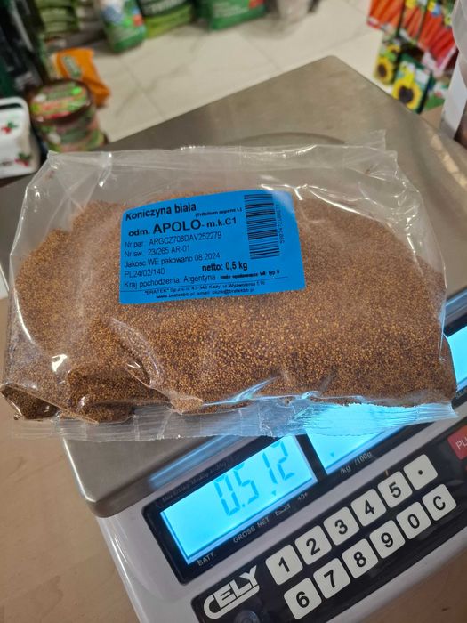 Koniczyna Biała 0,5kg C/1 poplon, Nasiona
