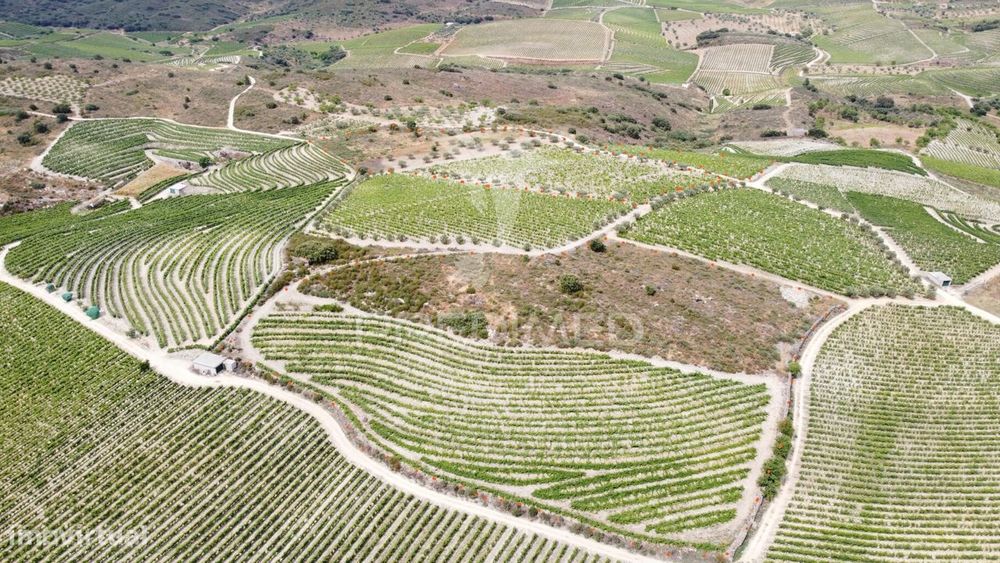 Quinta Agrícola em Cedovim – Vila Nova de Foz Côa
