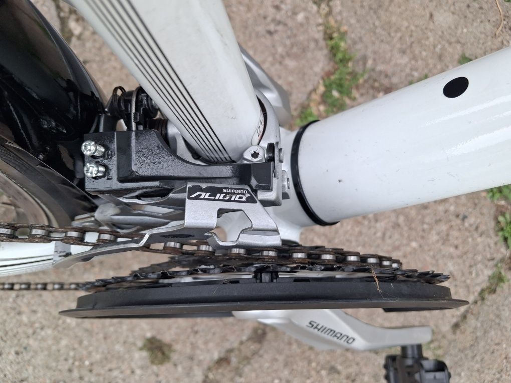 Rower STEVENS damka 52