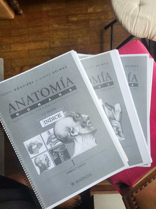 Bibliografia de Anatomia de Santa Maria + Netter Atlas de Anatomia