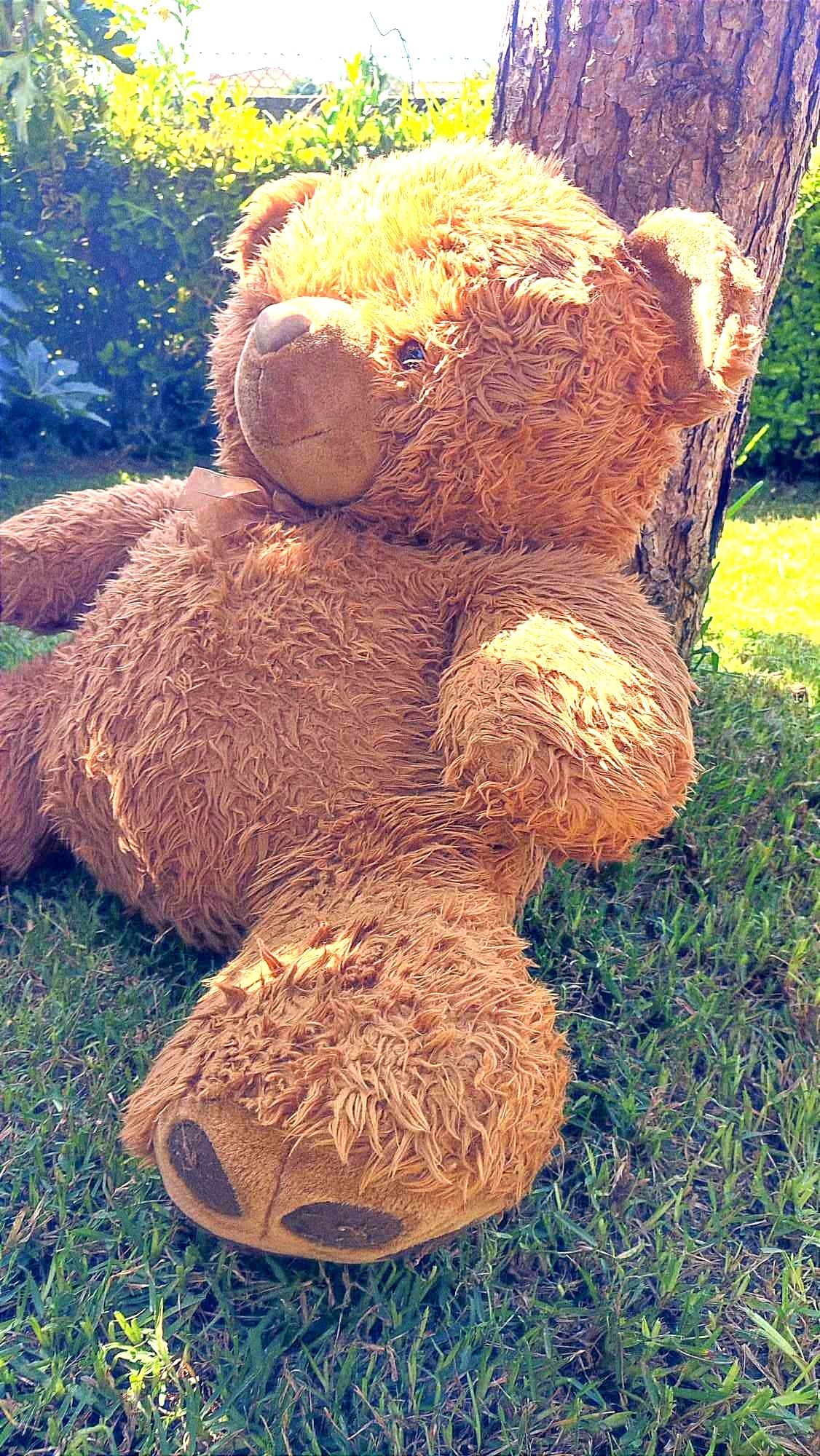 Urso de peluche gigange castanho para decoração