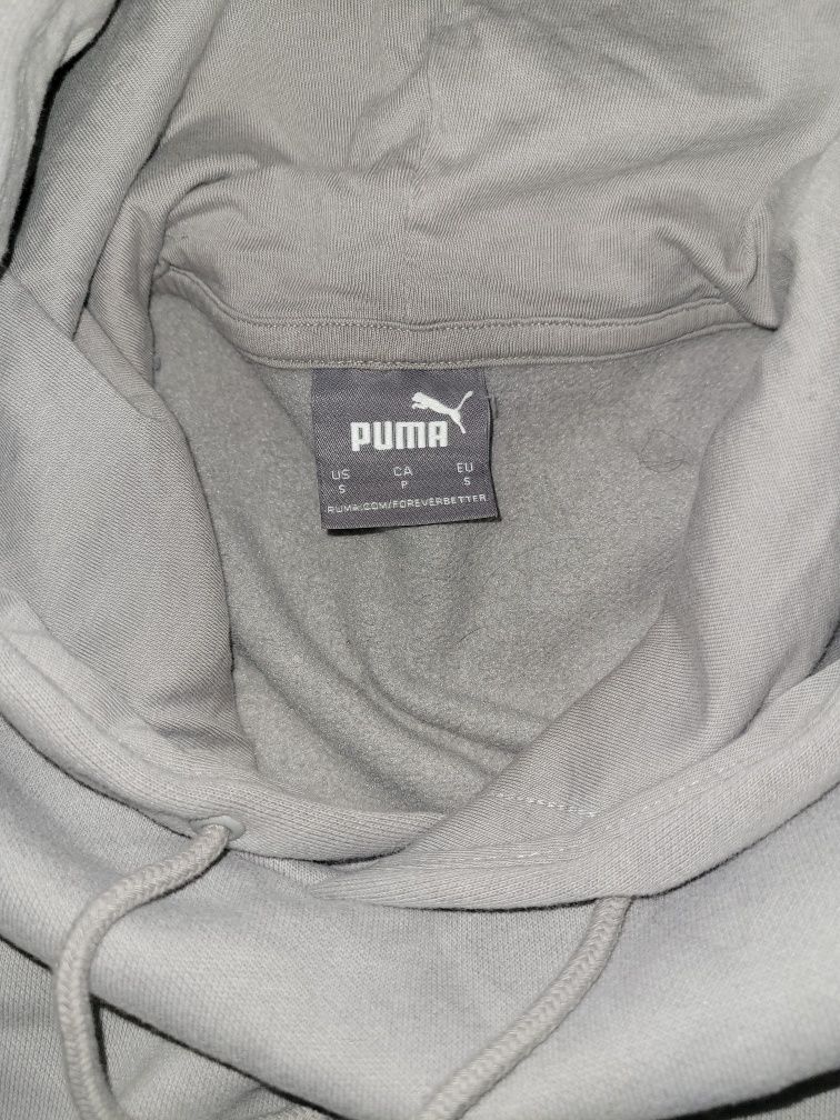 Dres Puma,     S