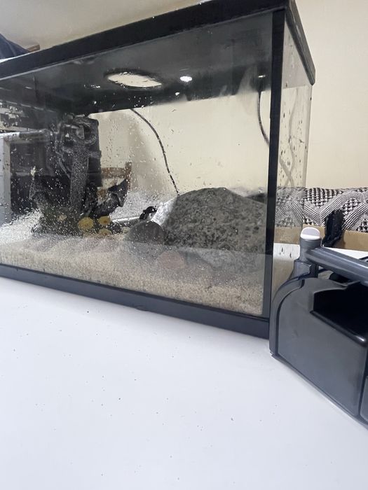 Aquario completo