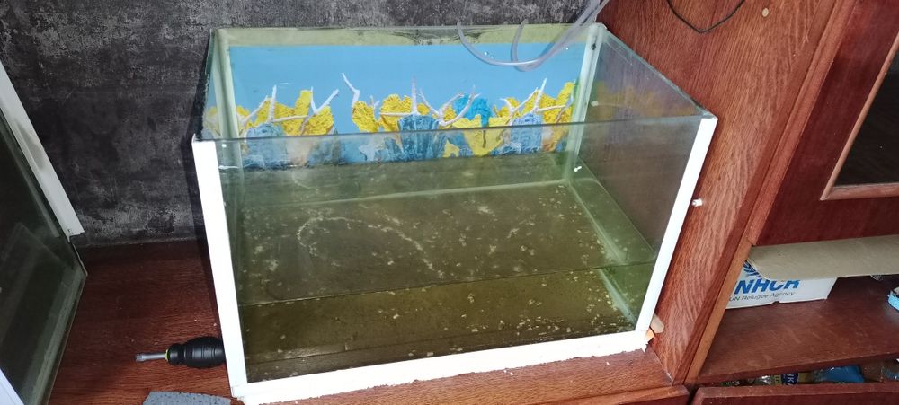 Акваріум для рибок