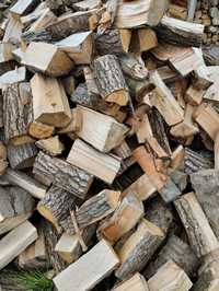 Drewno dąb grab modrzew