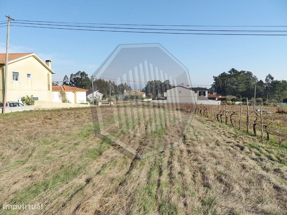 Terreno em Águeda Norte!