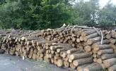 Продаю дрова твёрдых пород дерева  от 1500 грн куб
