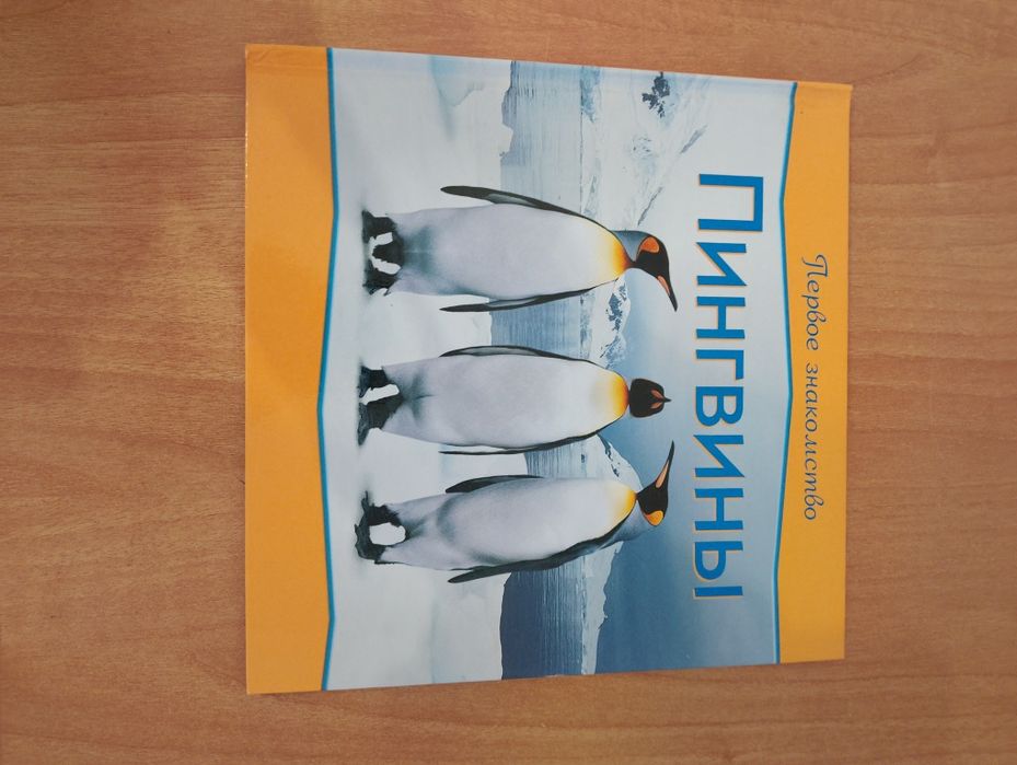 Книга Энциклопедия Первое Знакомство Пингвины Идеал