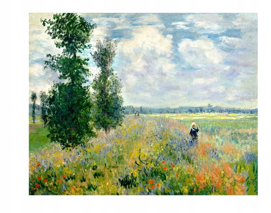 Amiiba Diy Do Malowania Po Numerach Pole Maków 57X46,5 Bez Ramki