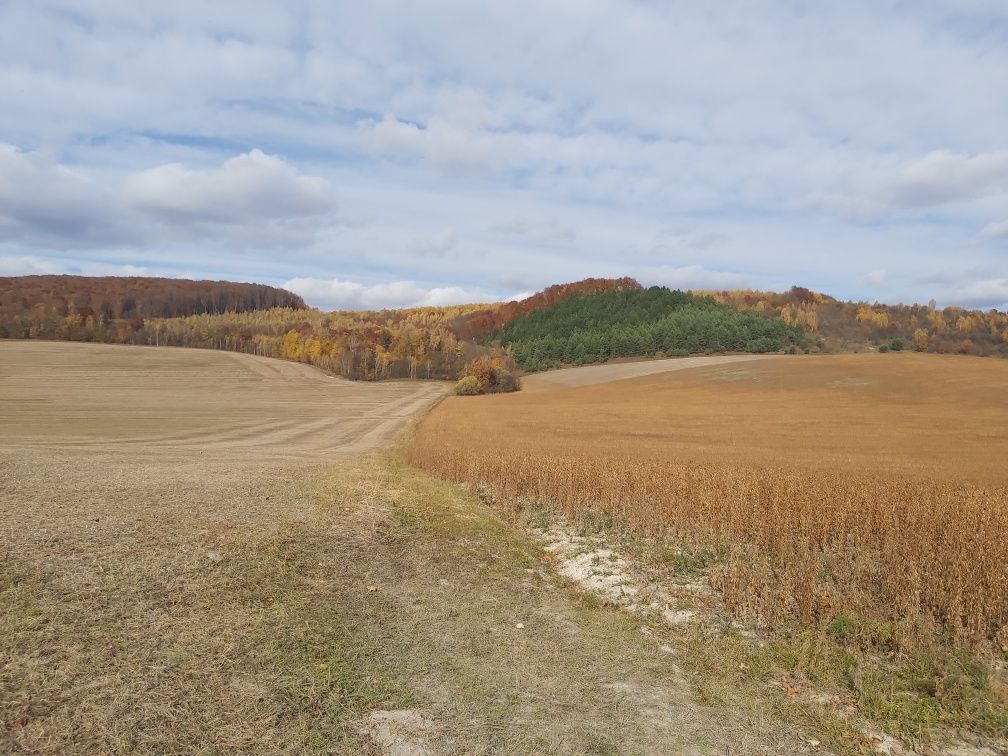 Продам земельну ділянку