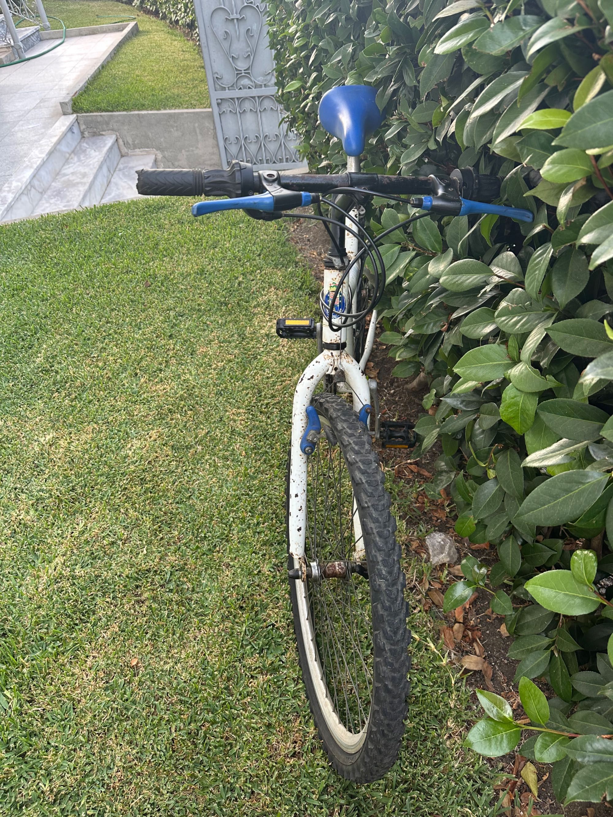 Conjunto de Bicicletas