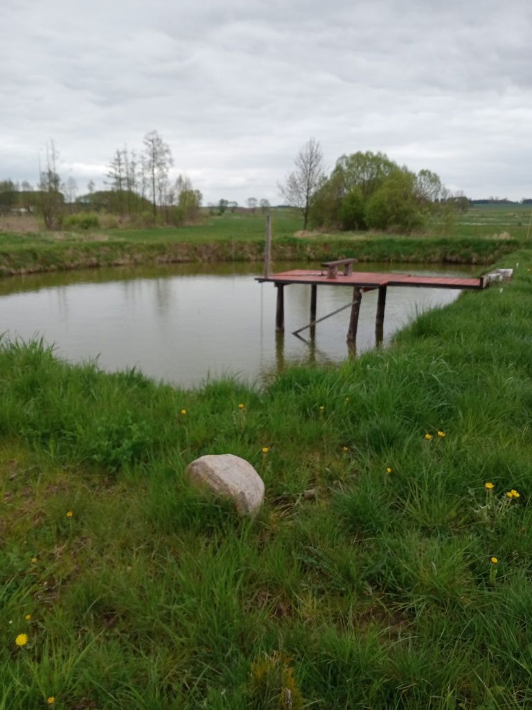 Wynajmę dom z bania - jacuzzi, altanka, stawem