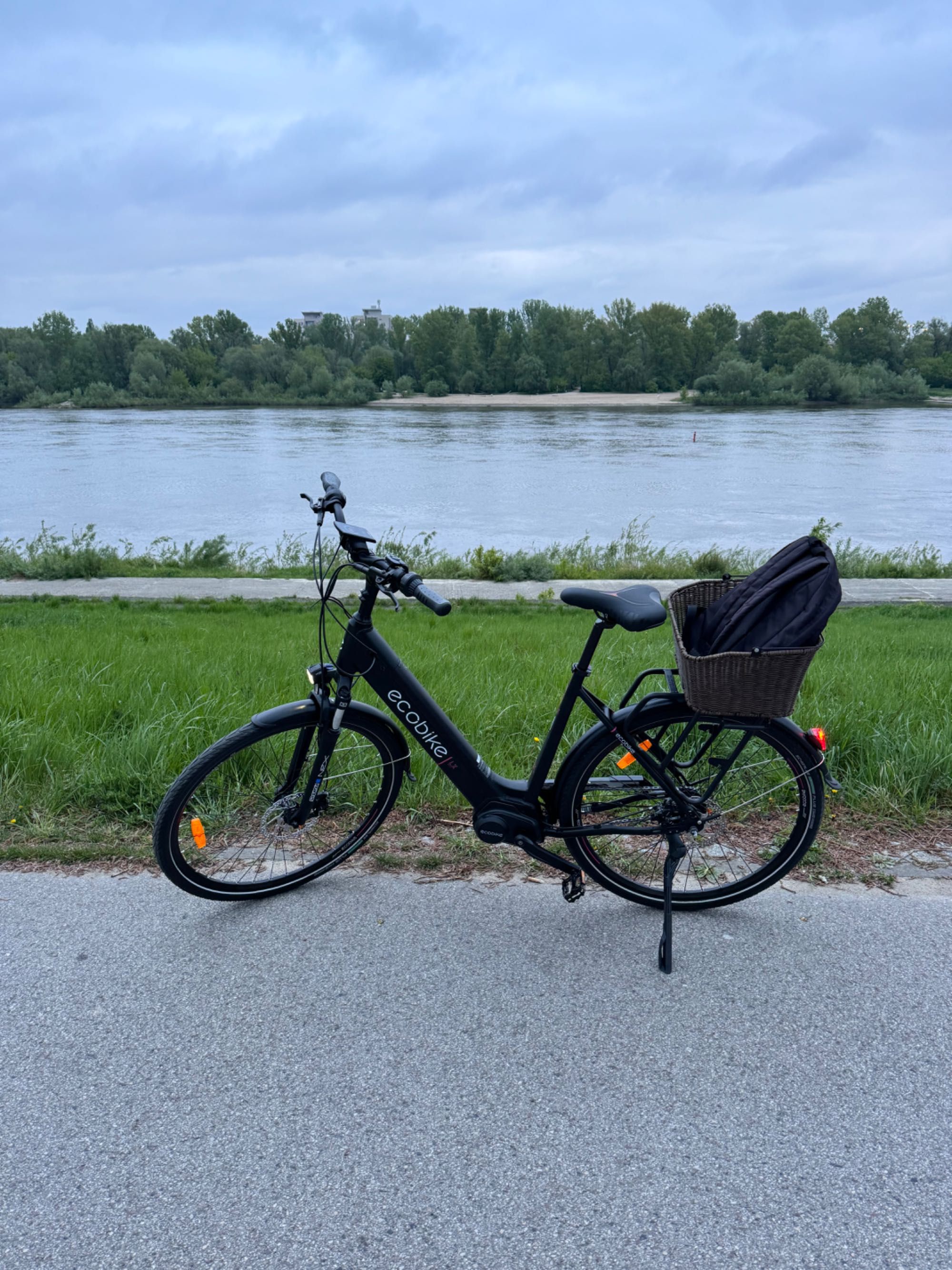 Rower elektryczny EcoBike LX 21”