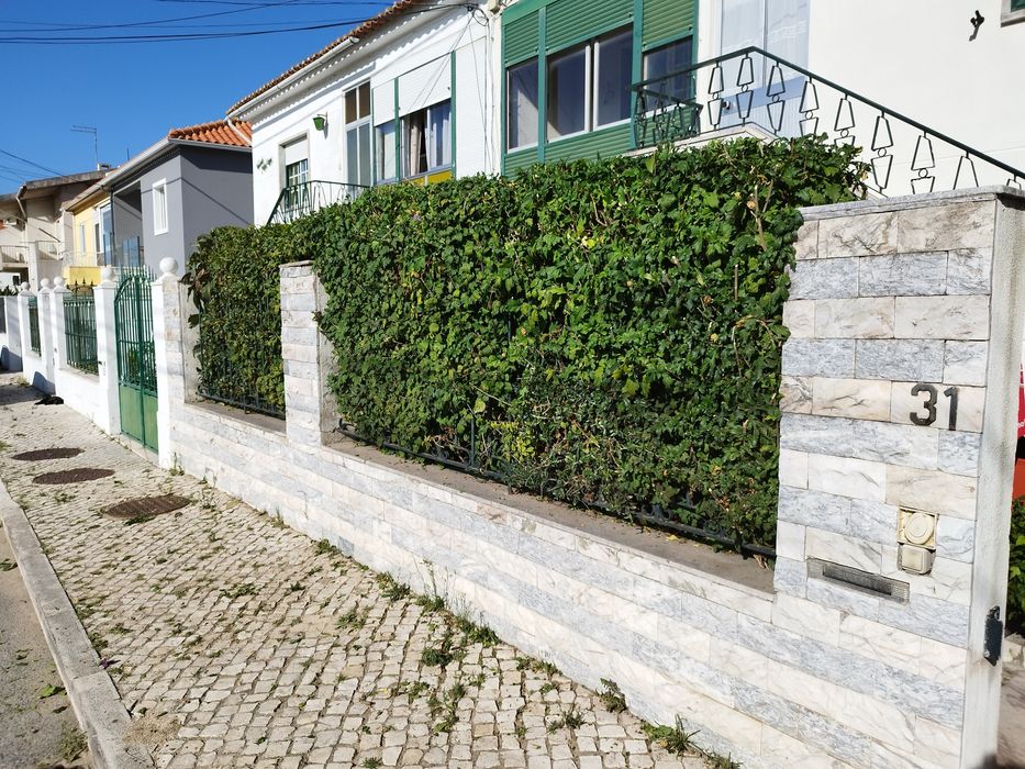 Limpeza e manutenção de jardins