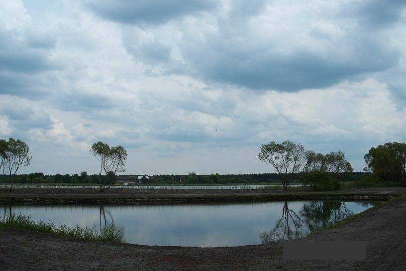 Kopanie i czyszczenie stawów odA-Z(faszyna oczko wodne pomost plaża)