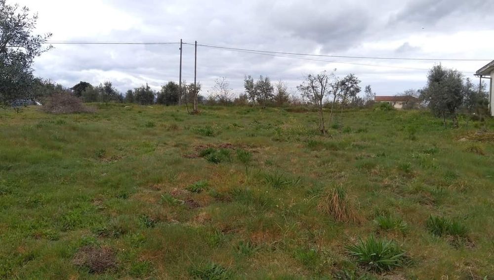 Terreno apto para construção