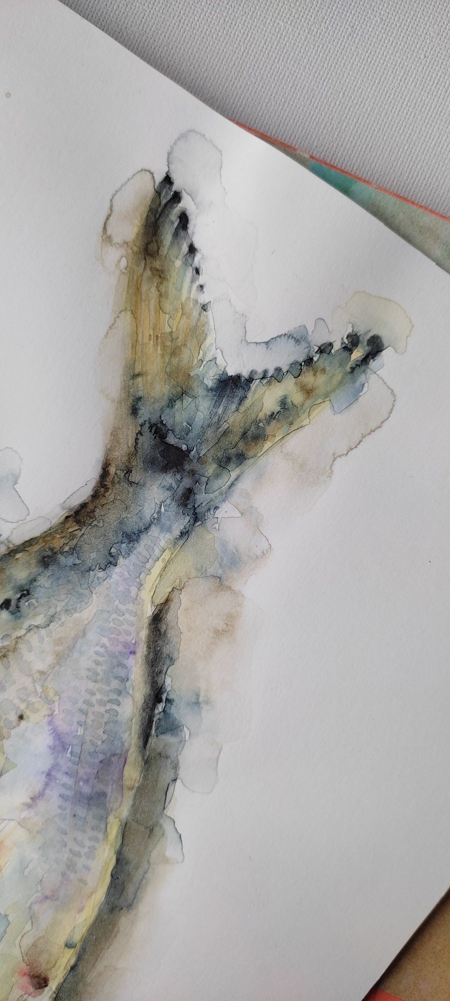 Малюнок рисунок акварель риба