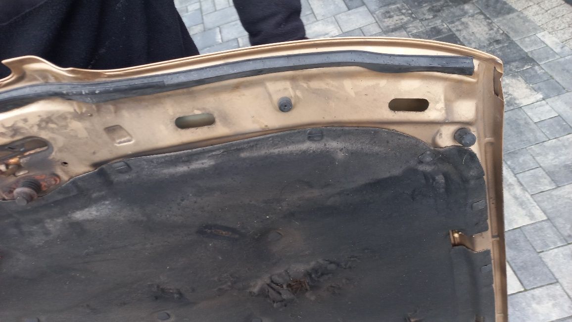 Seat Leon 1 toledo 2 maska pokrywa silnika zlota ls1n