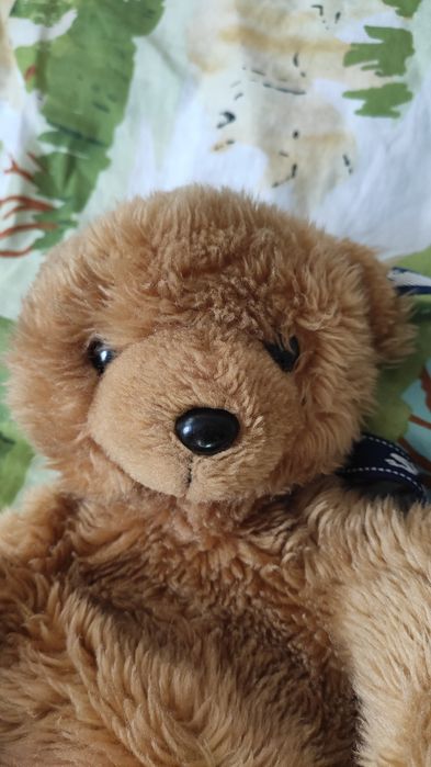 Plecaczek miś zabawka