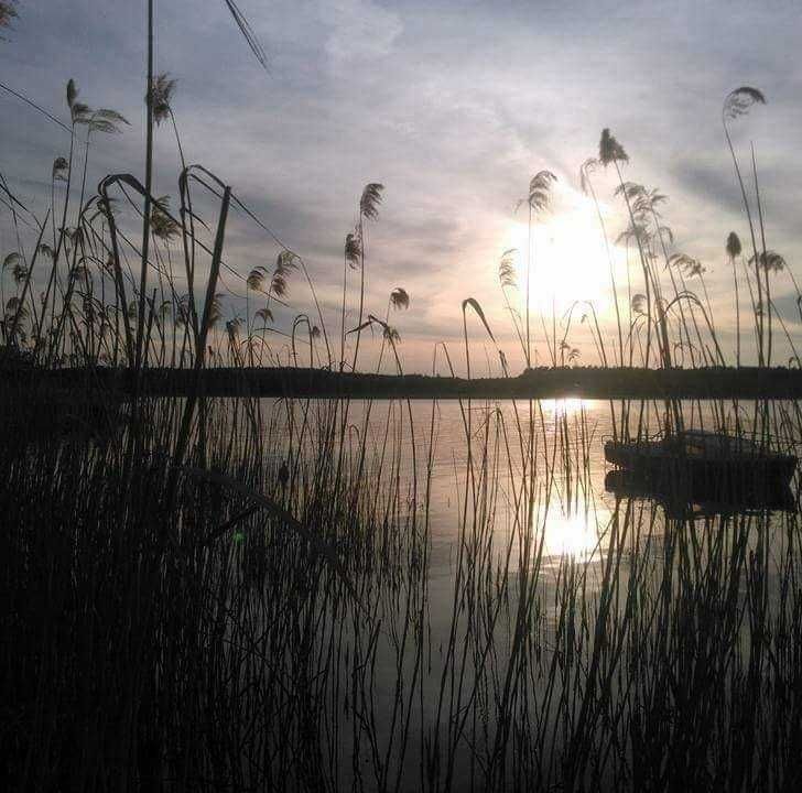 Domek letniskowy Dominice / k. Boszkowo nad jeziorem Dominickim