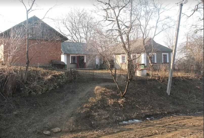 Продам готовий бізнес пасіку