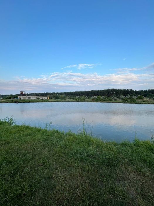 Продаж рибного господарства 504га в с. Куцеволівка