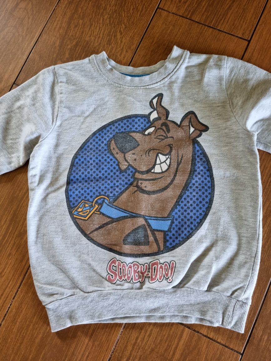 Szara bluza ze Scooby-Doo 3-4 lata 104 cm chłopięca Pepco