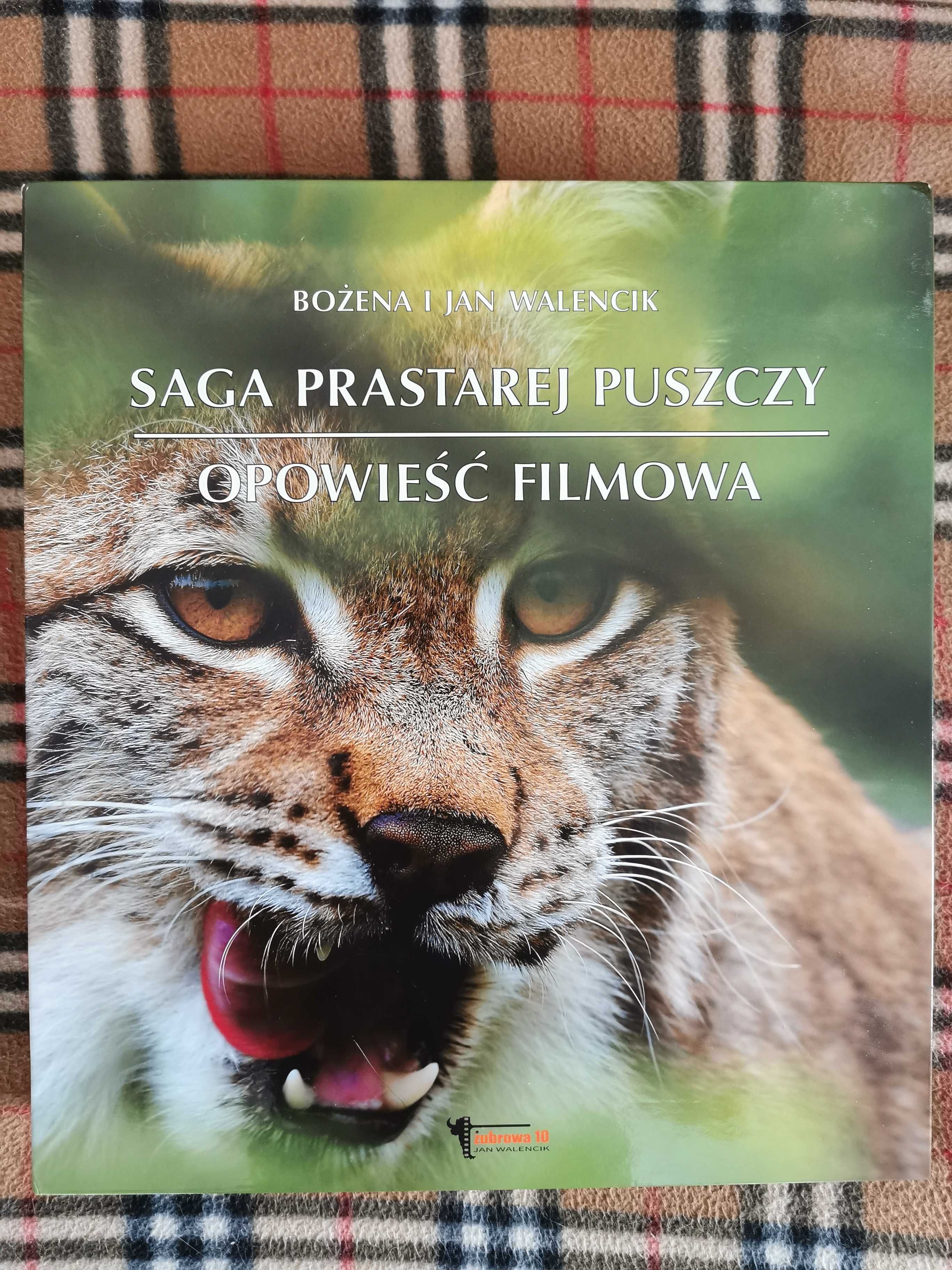 Saga prastarej puszczy, opowieść filmowa - nowa
