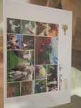 3 Puzzles completamente NOVOS