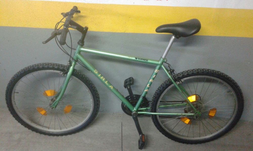 Bicicleta verde. I