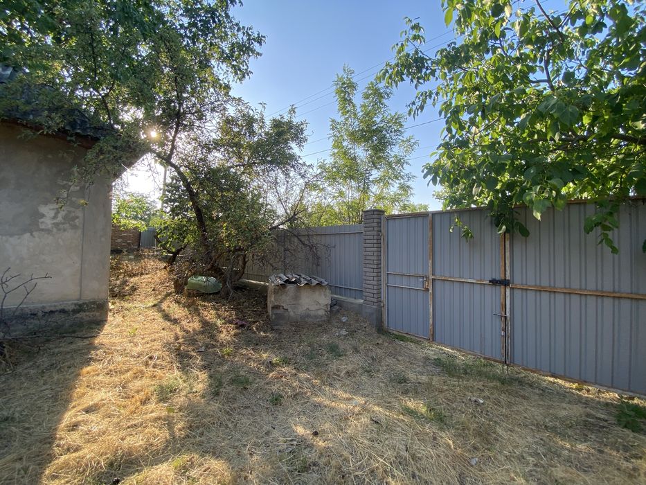 Будинок в Грушівці з великою ділянкою