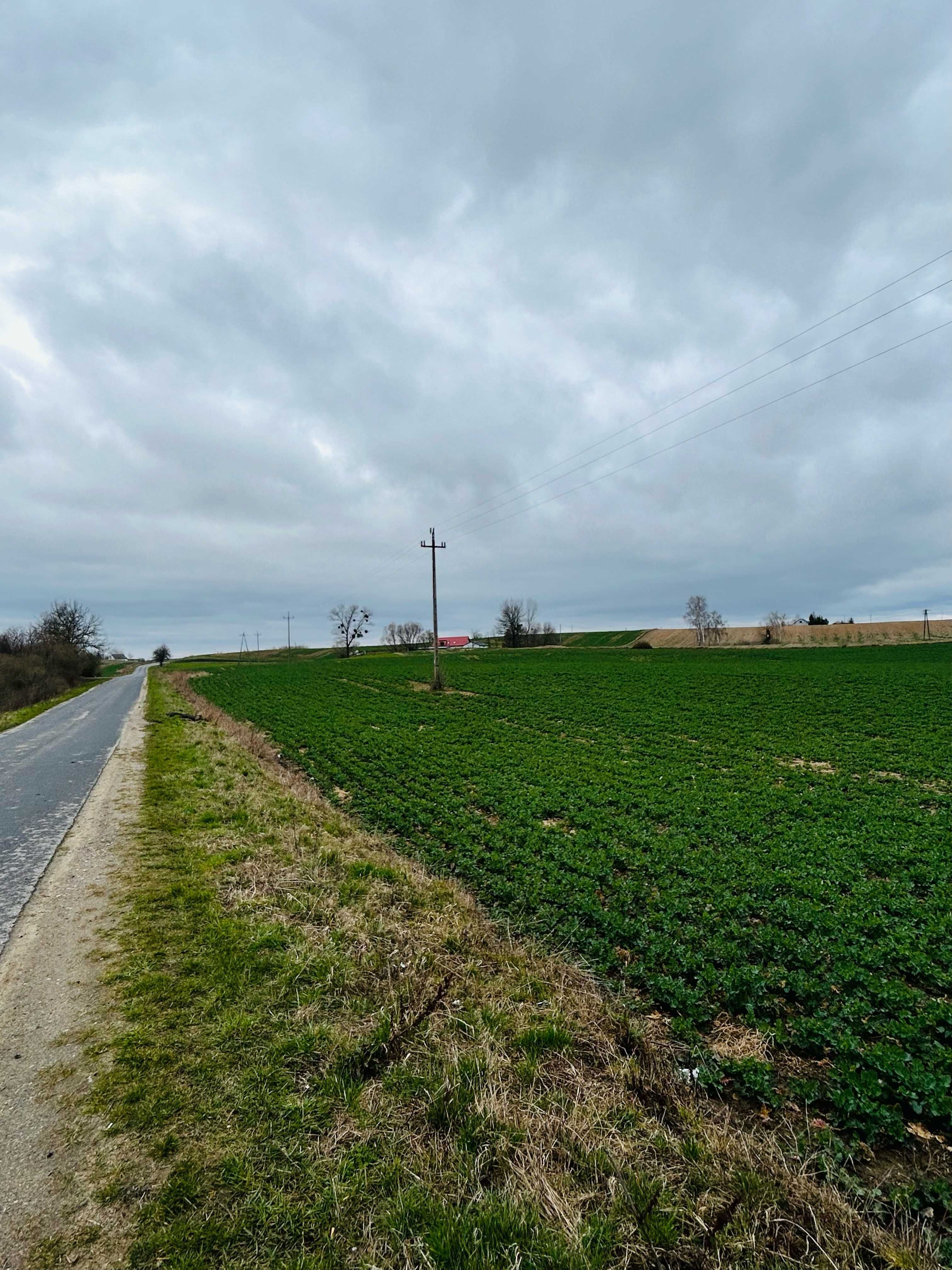 Ziemia rolna Adamki, Zbójno - działka rolno-budowlana ok. 2 ha