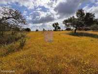 Terreno rustico a menos de 15 minutos da cidade de Silves