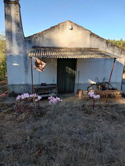 Vende-se quinta sitio ideal para passar férias soalheiro e sossegado