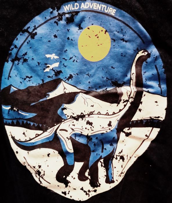 -90% !! bluzka chłopca 116 długi rękaw 5-6 lat