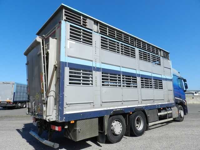 Do zwierzat do Bydla RENAULT T430 05/2016 zabudowa PEZZAIOLI